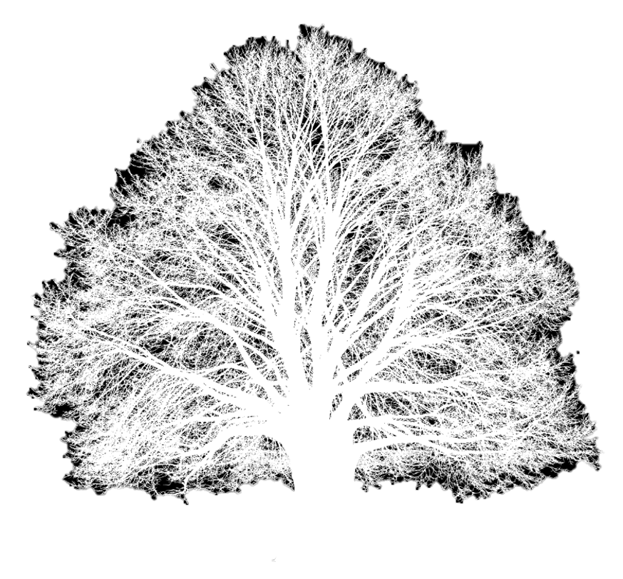 Logo de un árbol blanco